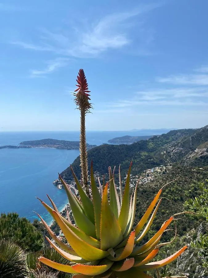 Apartment Villa Alexandra Saint-Jean-Cap-Ferrat